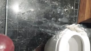 Anteprima del video: Incontro a Bologna