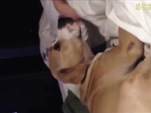 Kaley Cuoco per i fan di THE BIG BANG THEORY