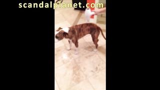 Kaley Cuoco per i fan di THE BIG BANG THEORY