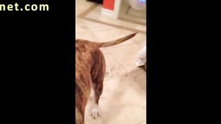 Kaley Cuoco per i fan di THE BIG BANG THEORY