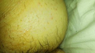 COME LE LECCO LA FIGA