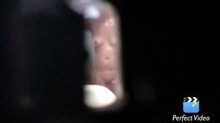 Spiata, desiderata e ripresa