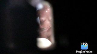 Spiata, desiderata e ripresa