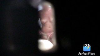 Spiata, desiderata e ripresa