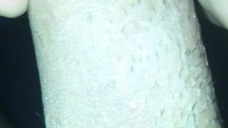 Tributo a Serena di Pordenone