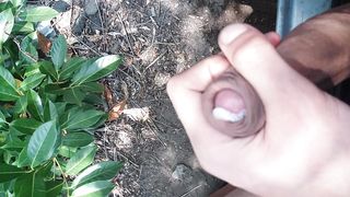 In pausa pranzo Firenze