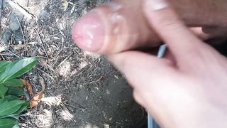 In pausa pranzo Firenze