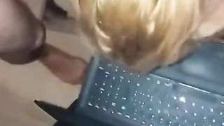 La mia PORCA guadagna con Skype !