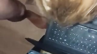 La mia PORCA guadagna con Skype !