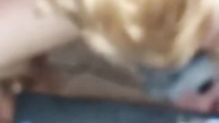 La mia PORCA guadagna con Skype !