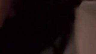 STAI ZITTA sei una TROIA e ti rompo il culo !