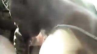 Si... è proprio brava!