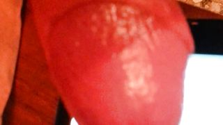 Anteprima del video: Tributo