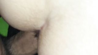 La inculo ancora una volta e il suo culo gradisce