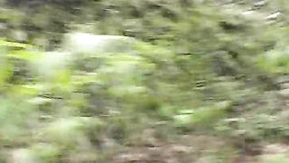 Gomma da masticare - Stella ama il succo