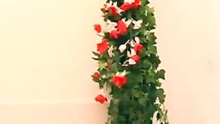 Daniela tettona figa in bagno