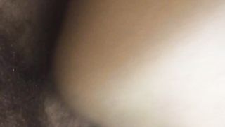 Mia moglie a pecora dopo cena