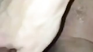 Mi lava il cazzo la mia tettona!!!