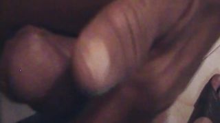 LA ROSALINDA SEGA E POMPA