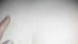 In culo alla vacca reale