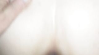 In culo alla vacca reale