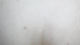 In culo alla vacca reale