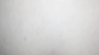 In culo alla vacca reale