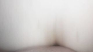 In culo alla vacca reale