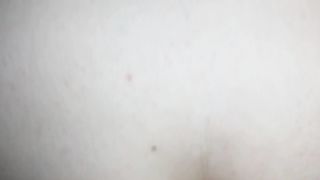 In culo alla vacca reale