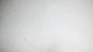 In culo alla vacca reale