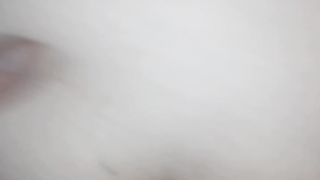 In culo alla vacca reale