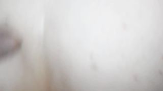 In culo alla vacca reale