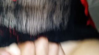 Il ritorno di Arianna la porca