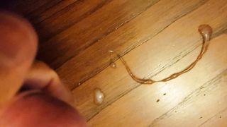 Segarsi volentieri...