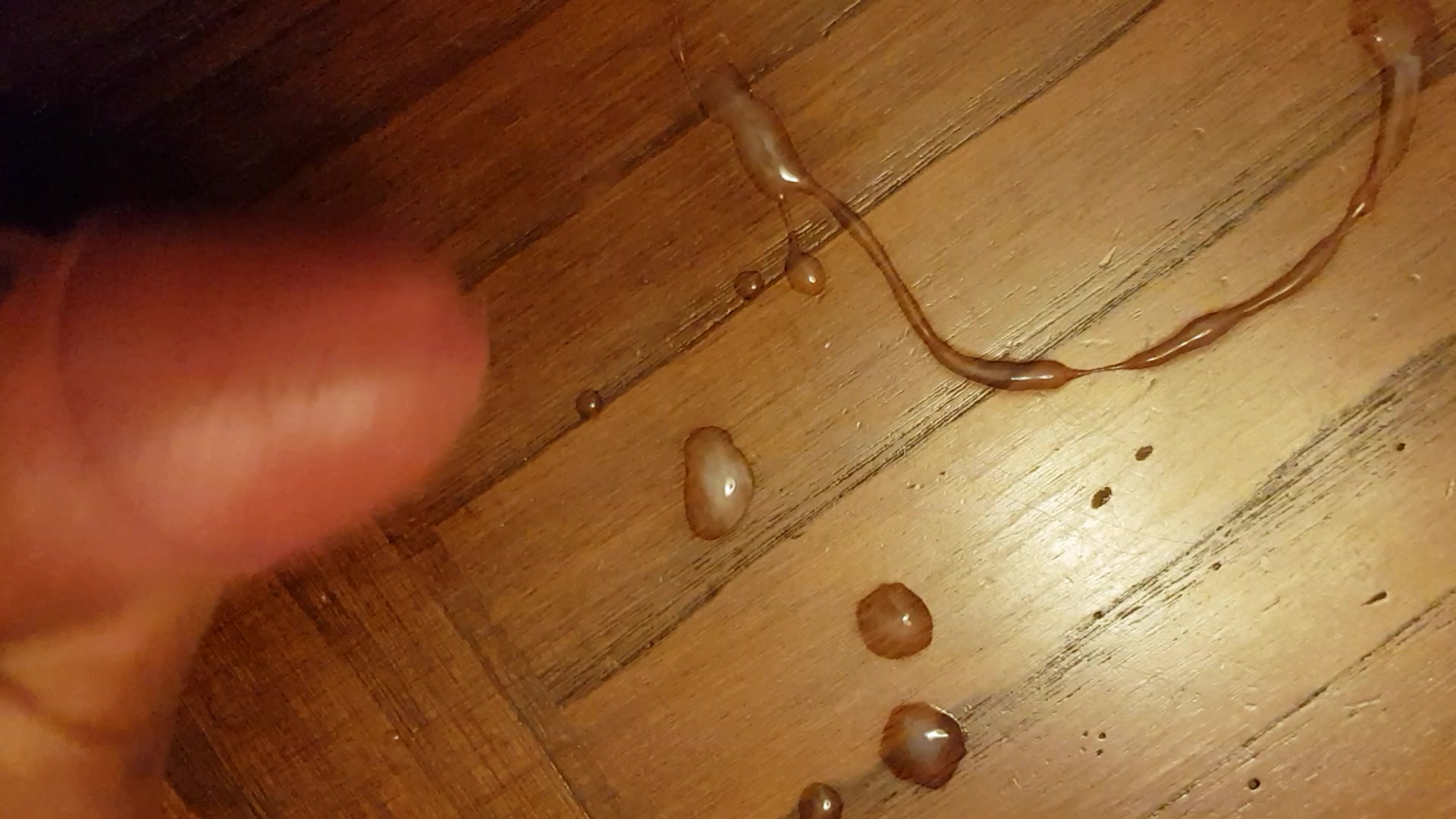 Segarsi volentieri...