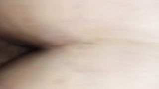 Una bella scopata a pecorina