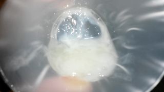 Anteprima del video: La vuoi?