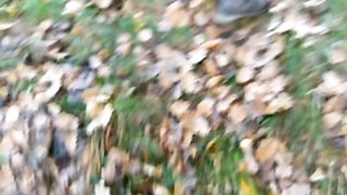 Piscia ovunque c'è odore di cazzo...