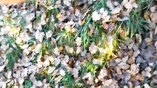 Piscia ovunque c'è odore di cazzo...