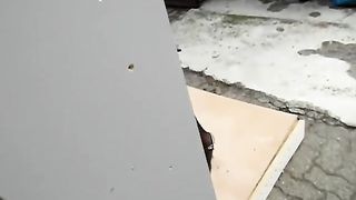 Trav alla gogna parte prima