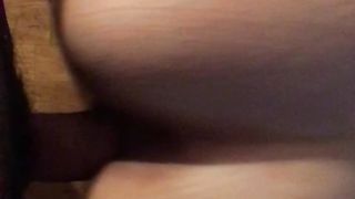 A pecora e le vengo in figa