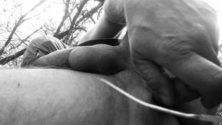 Bisexual îmi place să o iau în cur și în gură