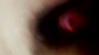 Anteprima del video: La mia figa!