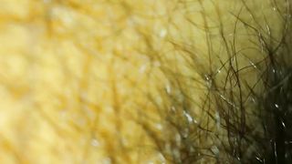 ECCO BRAVA: BACIAMI IL CAZZO!