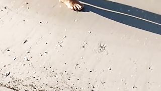 Giulia Skype (Amatorialina al mare)