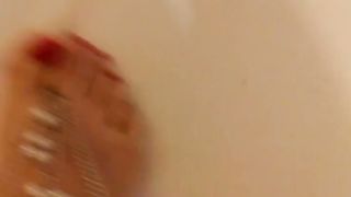 Giulia Skype (Amatorialina cavigliera indiana)