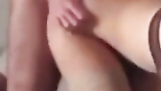 Anteprima del video: La pecorella