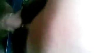 Troia russa ventenne