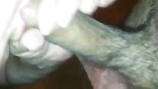 Mia nonna mi succhia il cazzo e tutta la sborra