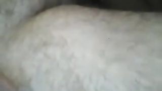 La lingua che massaggia la cappella